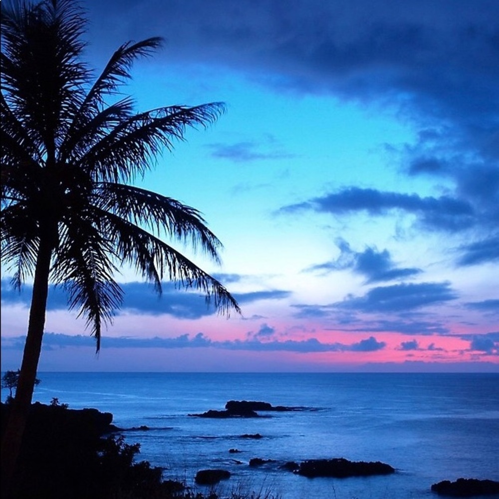 Meet your Posher, Alexandra